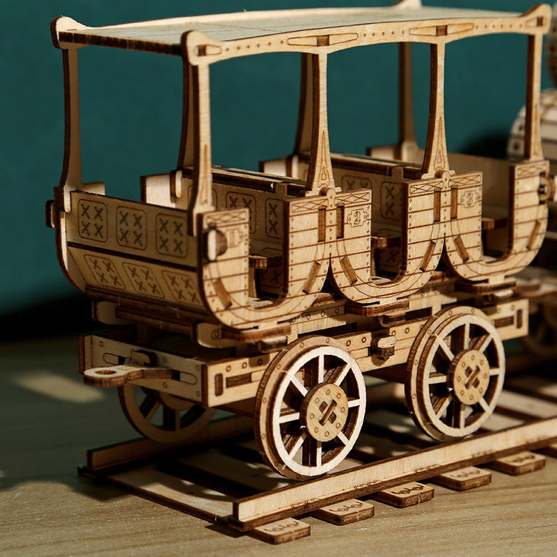 Educational 3D Wooden Puzzle Set