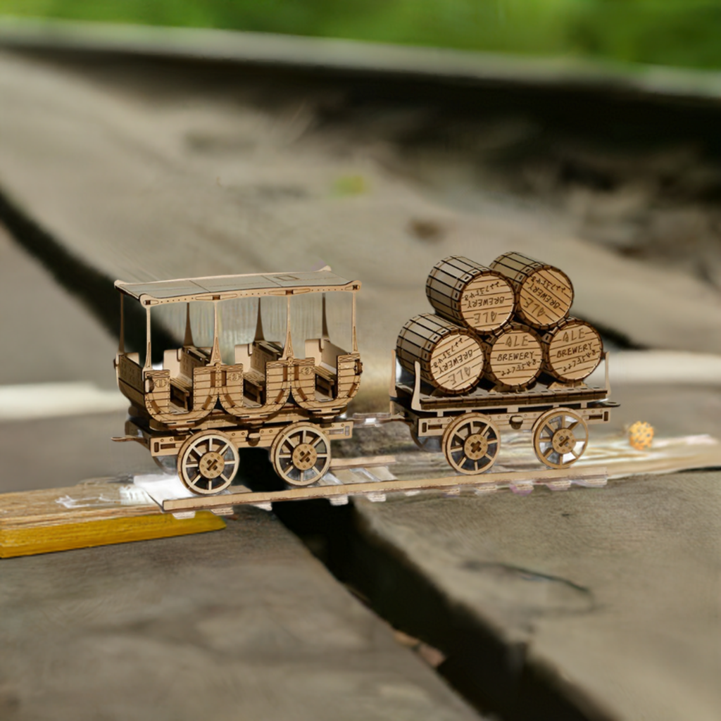 Educational 3D Wooden Puzzle Set